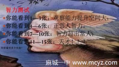 78ac8b19f35e452cb90f448cc14d3f40.Jpeg